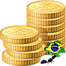 Brazilian Localization Sale Product