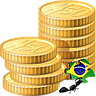 Brazilian Localization Sale Service