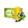 Brazilian Localization Account Payment