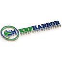 ERP Harbor Consulting Services